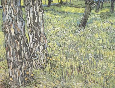 Vincent Van Gogh Pine Trees and Dandelions in the Garden of Saint-Paul Hospital (nn04) Norge oil painting art